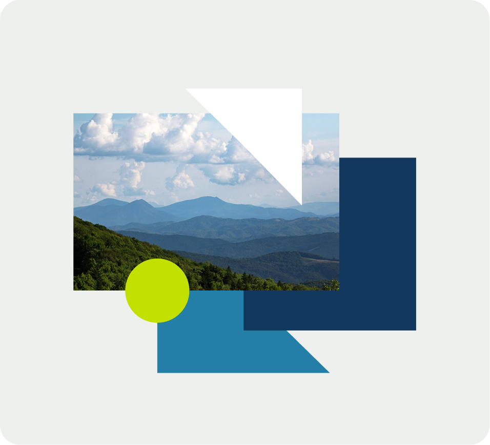 Screenshot of Virginia General Assembly website as seen on desktop.